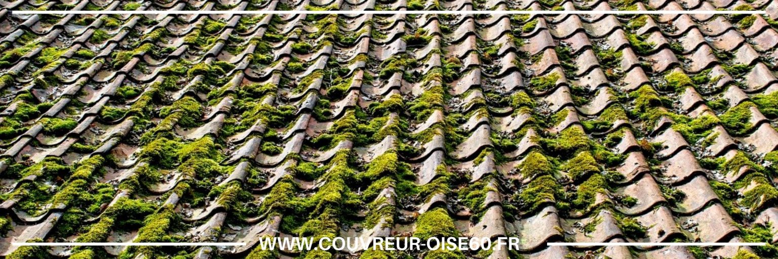 démoussage toiture mouse toit Nogent-sur-Oise 60180